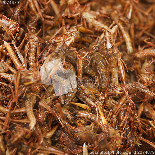 Image of Fried grasshoppers on eastern market