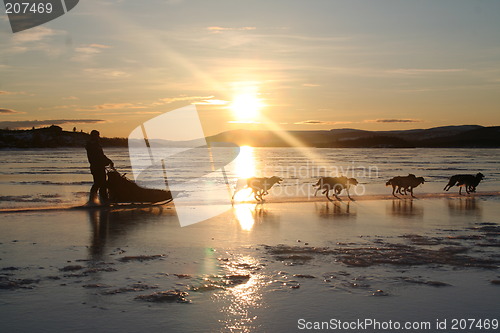 Image of Sleddog team on the Nøsen Lake