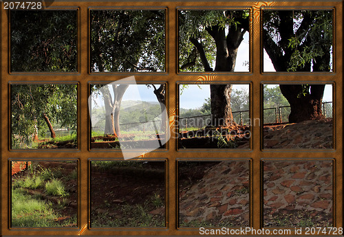 Image of Wooden Window Frame with Nature Outside