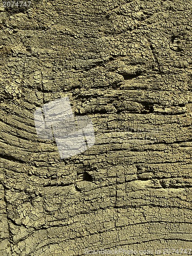 Image of Very old weathered wood texture