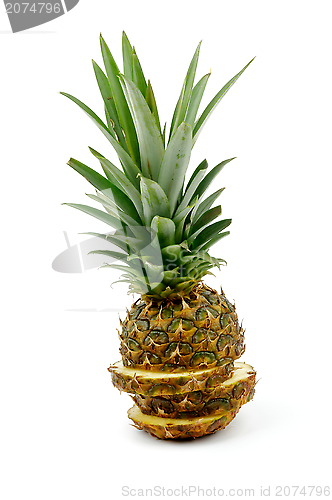 Image of Pineapple