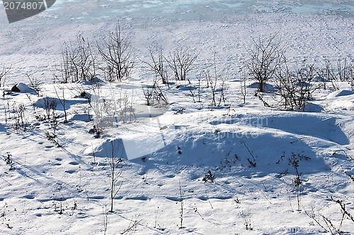 Image of Frozen and snowbound pond shore in winter day