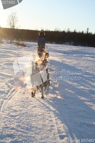 Image of The 2007 Iditarod Team