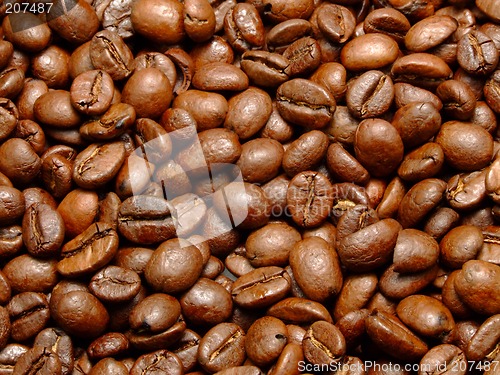 Image of Coffee beans