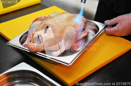 Image of Raw duck