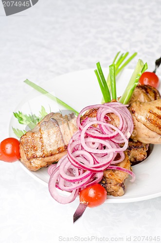 Image of Grilled kebab meat