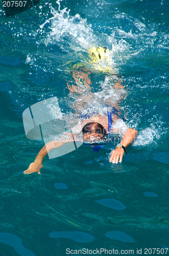 Image of Swimming in the sea