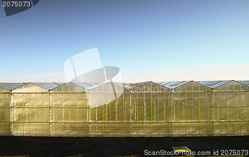 Image of Hothouse outside