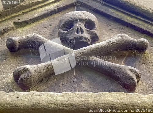 Image of Goth picture