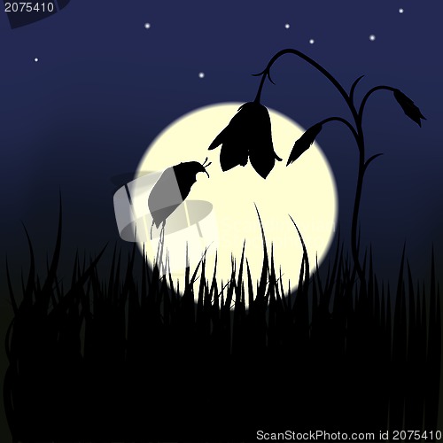 Image of Bug and flower