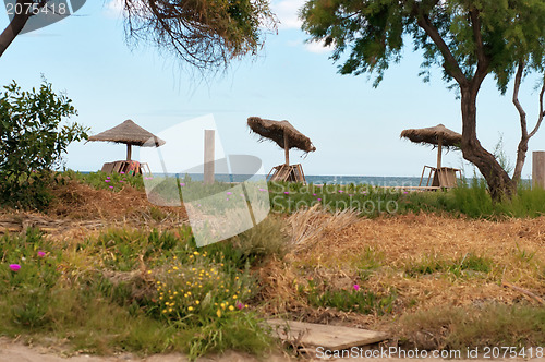 Image of Parasols on the beach