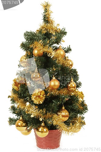 Image of small christmas tree in pot with yellow balls 