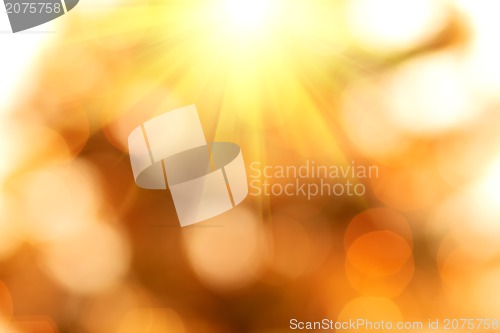 Image of natural bokeh background with sun