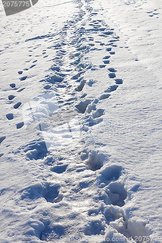 Image of Narrow footpath in the snow