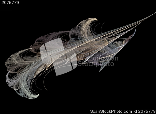 Image of Fractal, feather