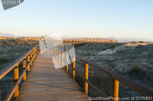 Image of Wooden walkway