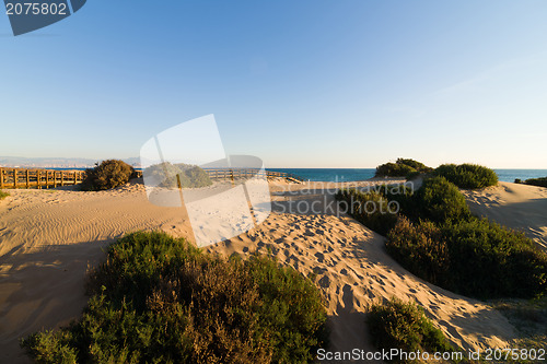 Image of Costal dunes