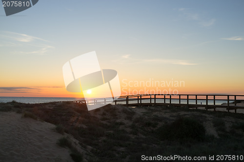 Image of Sunrise over coastal dunes