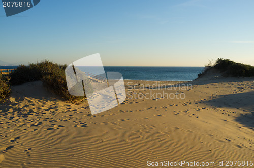 Image of Costal dunes