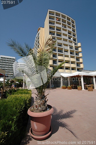 Image of Hotel and plant