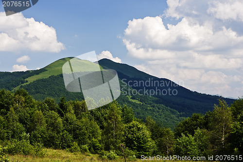 Image of Mountain meadows at the top