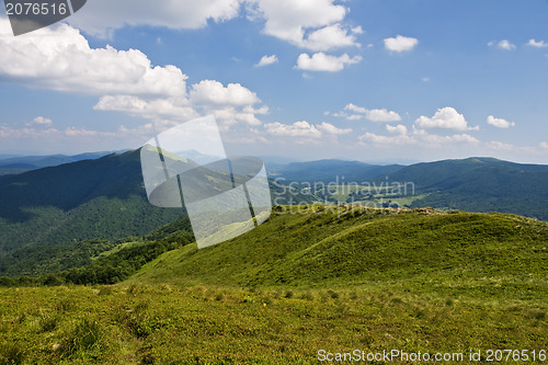 Image of Mountain meadows at the top