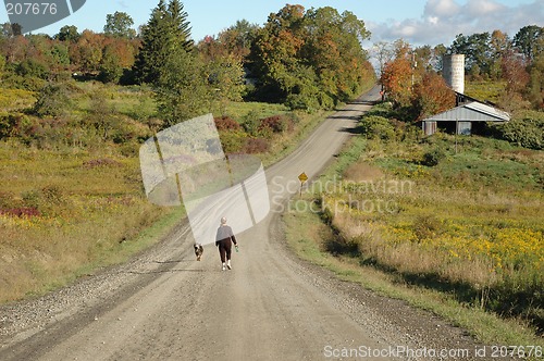 Image of Morning Country Walk