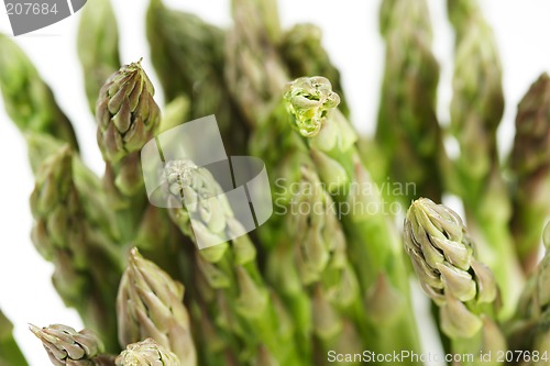 Image of Green asparagus