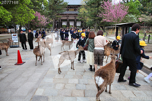 Image of Nara