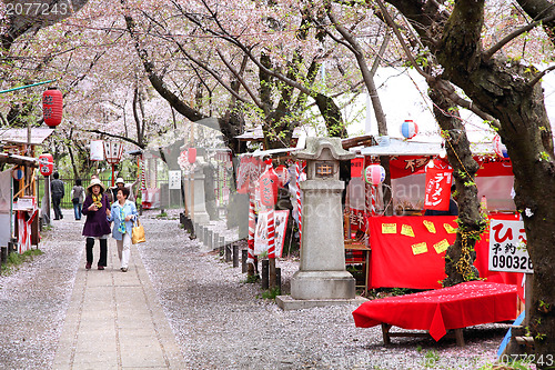 Image of Sakura in Japan