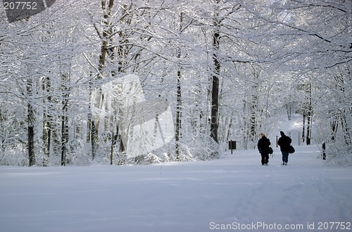 Image of winter walkers