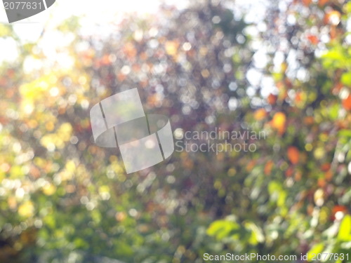 Image of bokeh