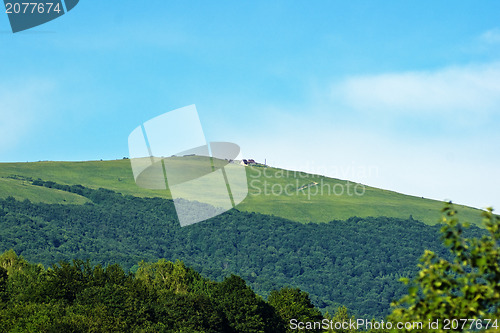 Image of Mountain meadows at the top