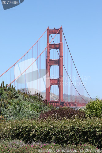 Image of San Francisco Golden Gate