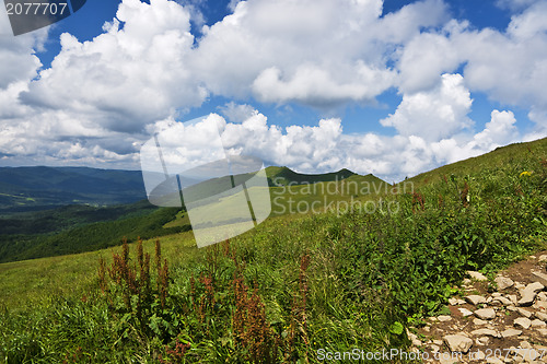 Image of Beatifool green mountains in Poland of Bieszcady