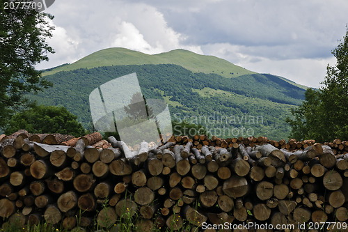 Image of Beautifool green mountains in polish of Bieszczady