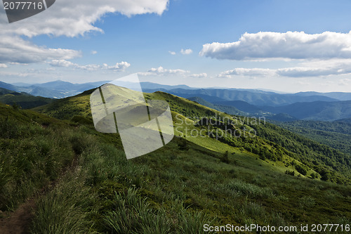 Image of Green mountains Bieszczady