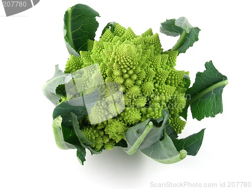 Image of Romanesco