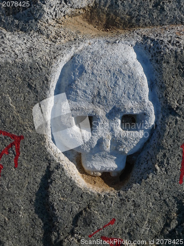 Image of skull on a rock