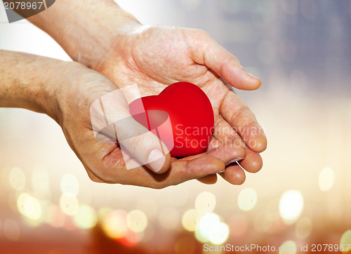 Image of artificial red heart on hands