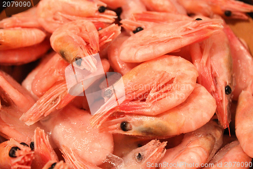 Image of Many boiled tasty shrimps