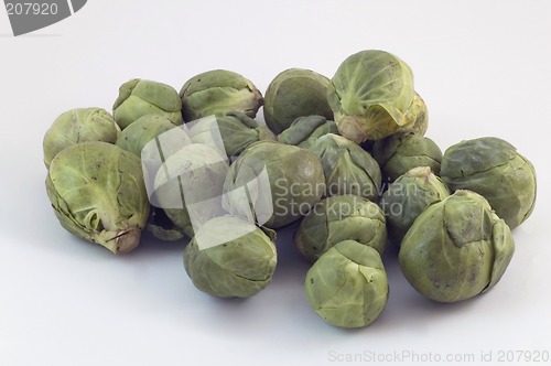 Image of Raw Sprouts