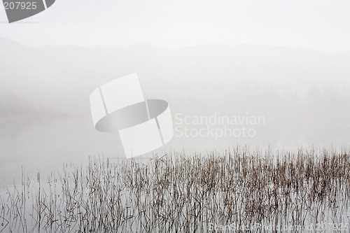 Image of Lake, Reeds, and Fog