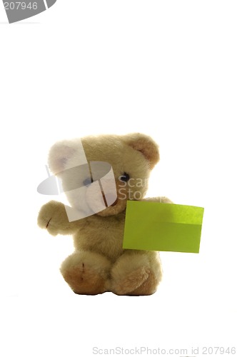 Image of TEddy Bear