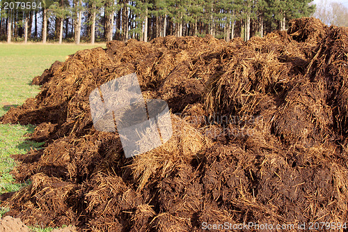 Image of farm manure