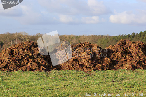 Image of manure for agriculture