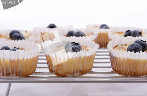 Image of Cooling Cakes