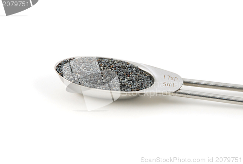 Image of Poppy seeds measured in a metal teaspoon