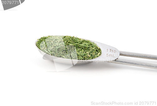 Image of Dill tops measured in a metal teaspoon, isolated on a white back