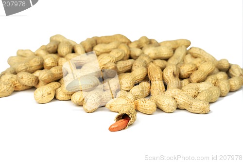 Image of Peanuts